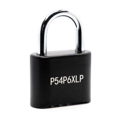 DaVinci Padlock – Black - 10 Pack