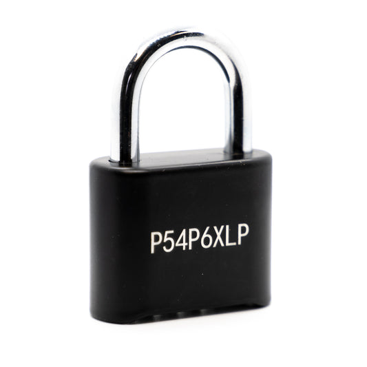 DaVinci Padlock – Black - 10 Pack