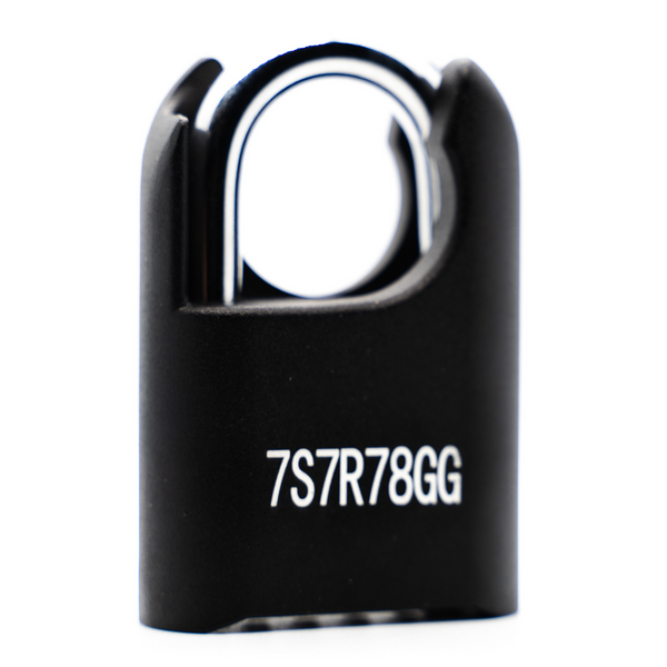 DaVinci Lock - High Collar Lock - Black - 10 Pack