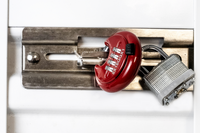 DaVinci Lock – Red - 10 Pack