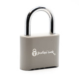 DaVinci Padlock – Gray - 10 Pack